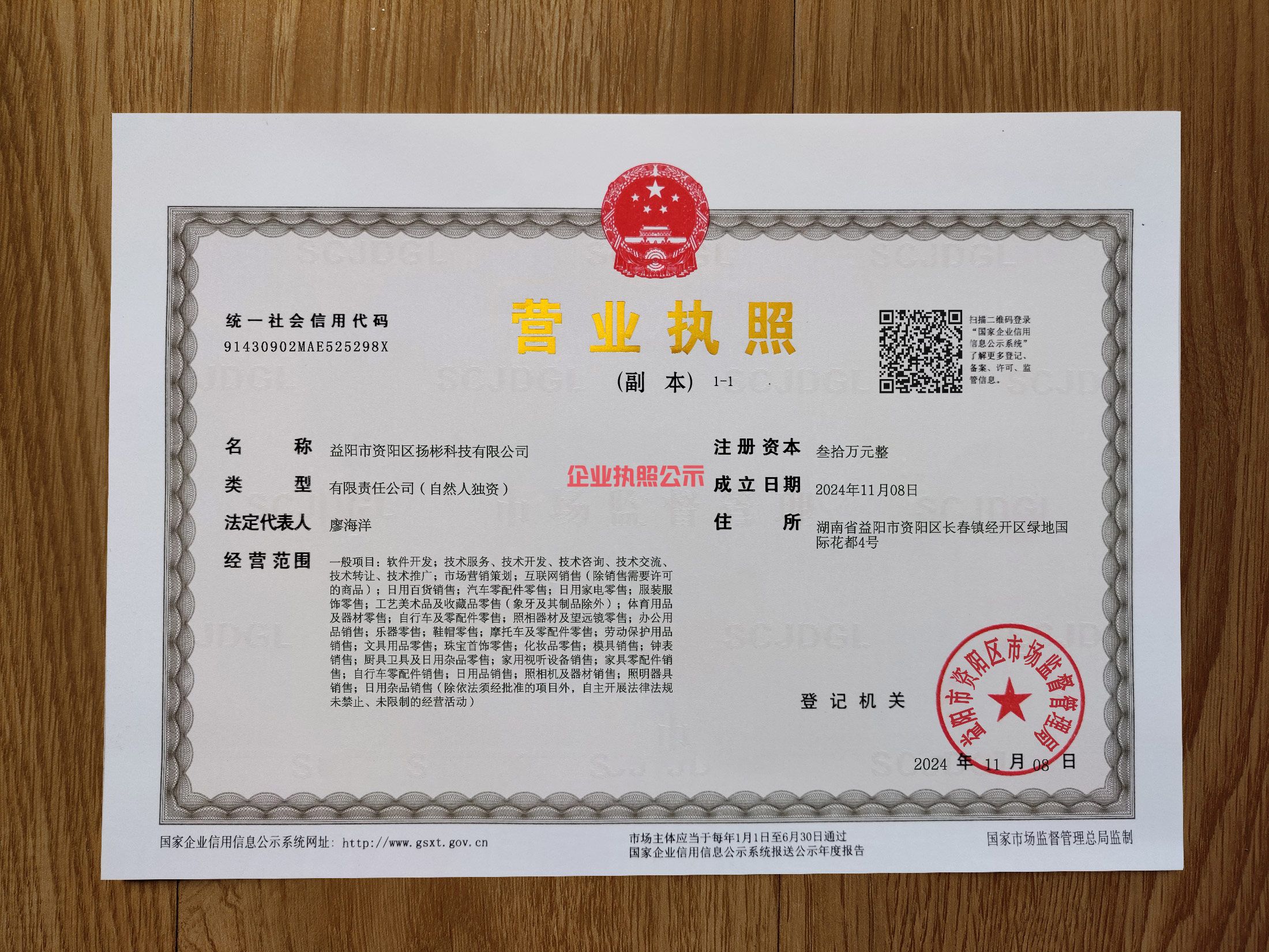 企业执照